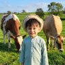 Ahtisham shakeel's profile picture