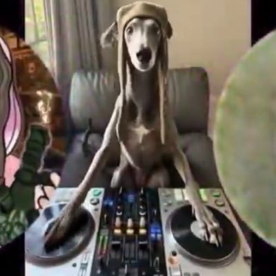 bailesw487's profile picture
