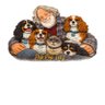 Poppopteez's profile picture