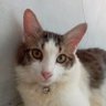 Profilbild von ocil krucil