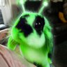 bnu 🐇👽 profil fotoğrafı