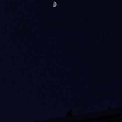 charlottefvg's profile picture
