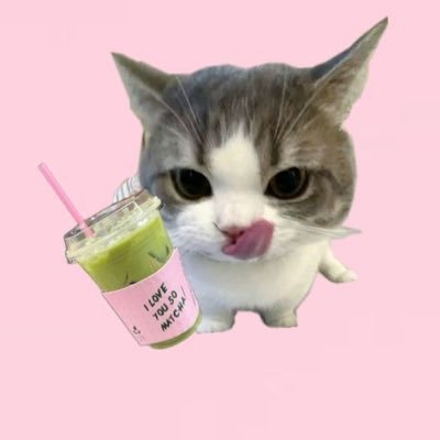 missmatcha 🥋's profile picture
