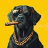 CARNIFICINA's profile picture