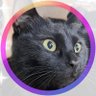 なっちゅ【黒猫家族】🐈⬛🪼 的头像