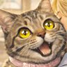 🐕カニィー🐈 的头像