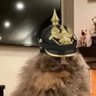 küster 的头像