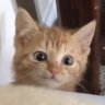 murlo 😾 的头像