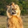 Profilbild von plaplapla