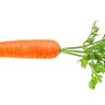 Im just a carrot 的头像