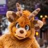 Jerb 🦌 🔜 FM 的头像
