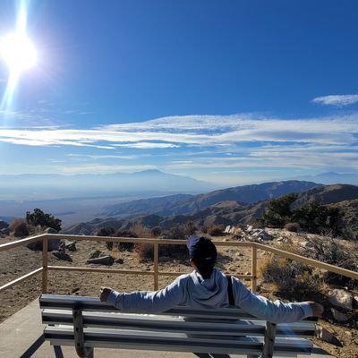 TSLA999,999's profile picture