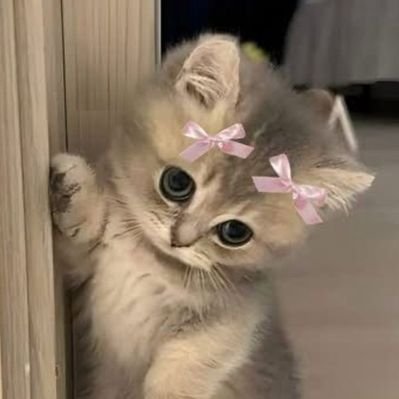 lje_xx's profile picture