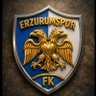 Erzurumspor Taraftar GRUBU's profile picture