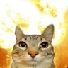 y's profile picture