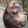 cuffie 的头像