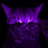 Bonk's profile picture