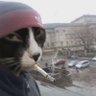 fergarapo's profile picture