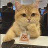 Eah's profile picture