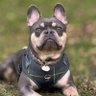 Фото профиля Jason James