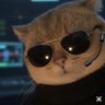 Agent Cats 的头像