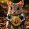 Bitcoin Bandicoot 的头像