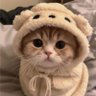 Leylim 💛's profile picture