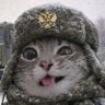 Фото профиля Bomby🇷🇺