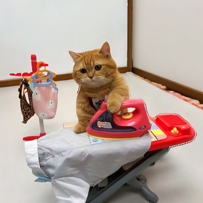 poppyblink1's profile picture