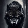 Bigbadwolf 的头像