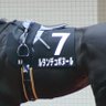 Bonheur(ボヌール)-Aさん🟦⬛⚽🏎️🐴📷🥟🧸🐸🦊 的头像