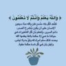 اميره 的头像