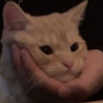 꾸리's profile picture