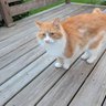 Фото профиля Bob