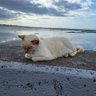 レイザービーム profil fotoğrafı
