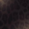 yo's profile picture
