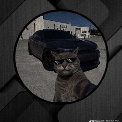 dareisaboy's profile picture