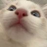 Noraory's profile picture