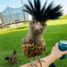 T.U's profile picture