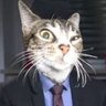 Profilbild von Perros