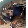 The mechanic's profile picture