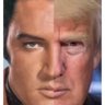 Profilbild von Donald Presley