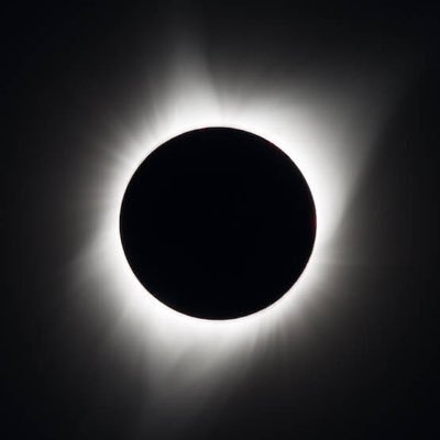 Skizs_'s profile picture