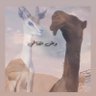 وطن المقاطي 的头像
