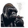 Profilbild von Kong on Fire