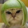 feff's profile picture