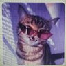 Profilbild von ♬•ѕкѕнм•♬