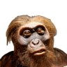 ProFundity's profile picture