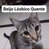 Tv a cabo ᗣ's profile picture