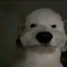 Profilbild von Benjuta